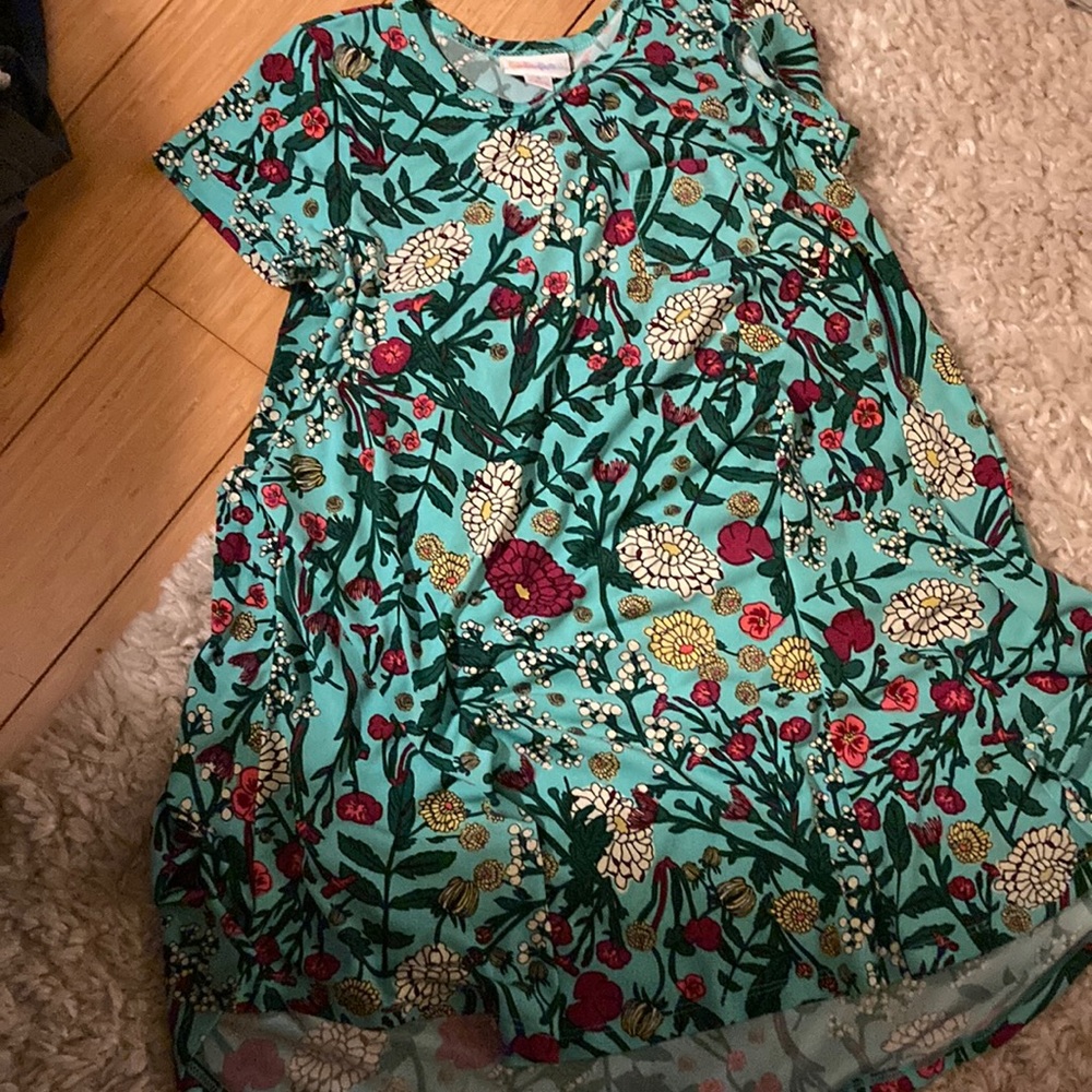 Lularoe dress and leggings